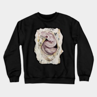 Hatching White Snake - albino phyton, reptiles Crewneck Sweatshirt